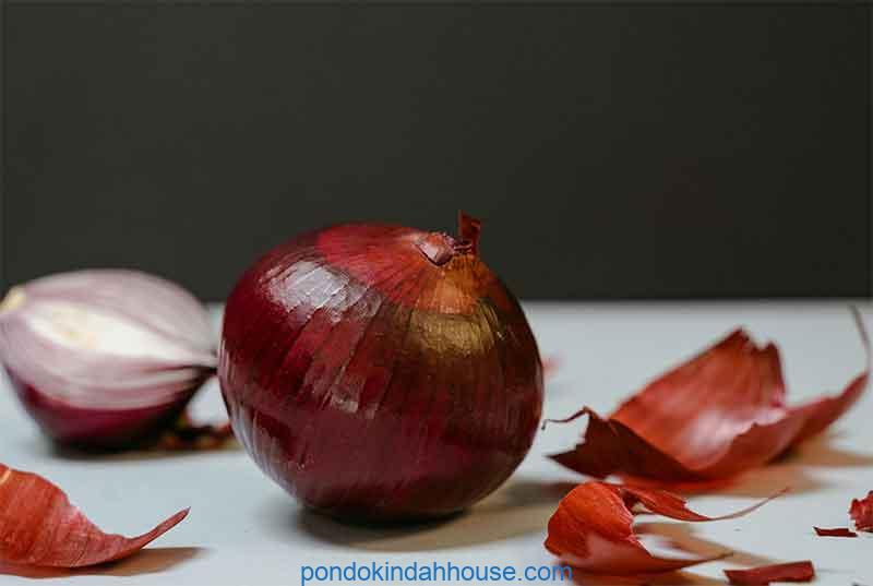 cara menanam bawang merah di musim hujan