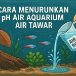 Cara Menurunkan pH Air Aquarium Air Tawar Secara Aman dan Efektif cara menurunkan ph air aquarium air tawar