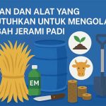 Bahan dan Alat yang Dibutuhkan untuk Mengolah Limbah Jerami Padi bahan dan alat yang dibutuhkan untuk mengolah limbah jerami padi