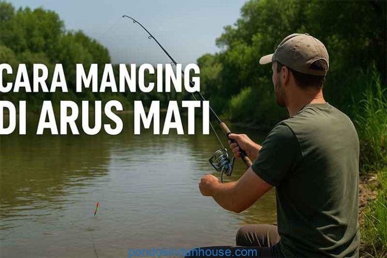 Cara Mancing di Arus Mati