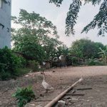 Dijual Tanah Komersial Premium di TB Simatupang Cilandak Dekat Tol JORR