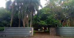 Dijual Rumah Lama Hitung Tanah Strategis di Pejaten Jakarta Selatan