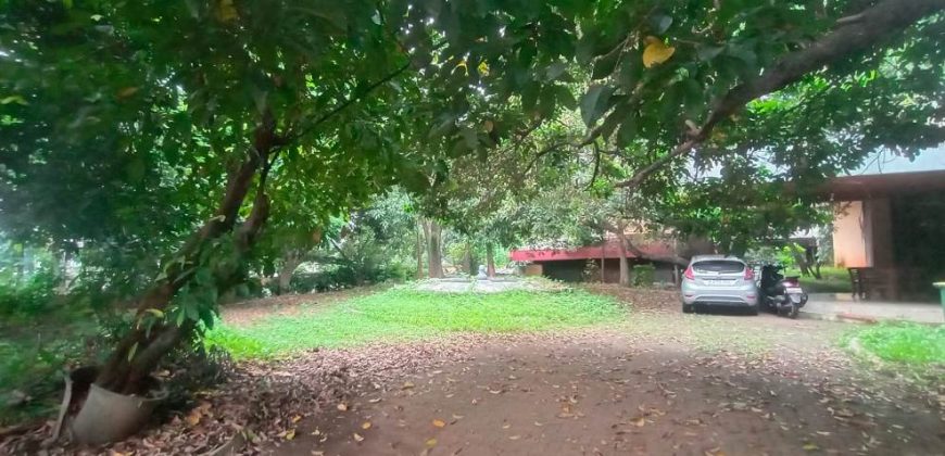 Dijual Rumah Lama Hitung Tanah Strategis di Pejaten Jakarta Selatan