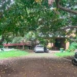 Dijual Rumah Lama Hitung Tanah Strategis di Pejaten Jakarta Selatan Dijual Tanah Strategis di Pejaten Jakarta Selatan