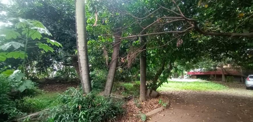 Dijual Rumah Lama Hitung Tanah Strategis di Pejaten Jakarta Selatan