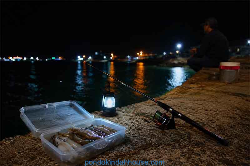 umpan mancing laut pinggiran malam hari