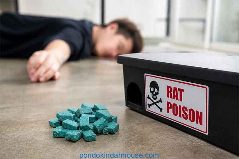 what if human eat rat poison