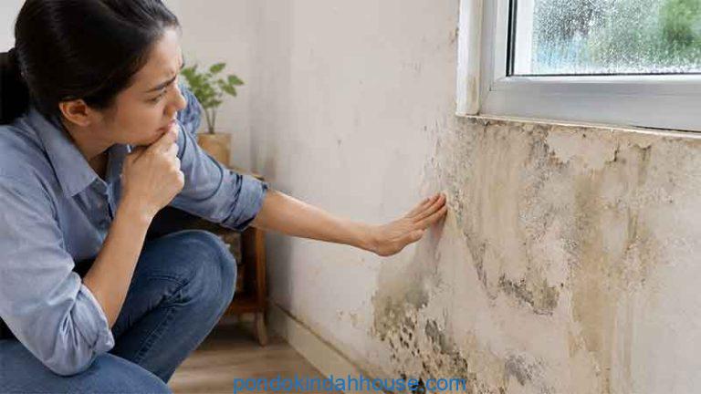 kenapa dinding rumah mengeluarkan air